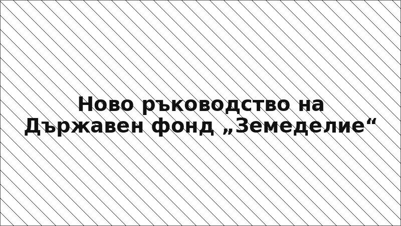 Ново ръководство на Държавен фонд „Земеделие“