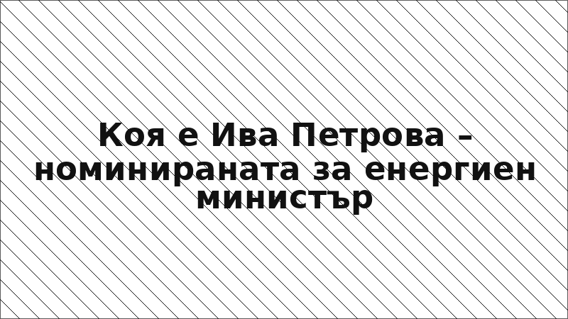 Коя е Ива Петрова – номинираната за енергиен министър
