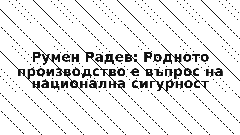 Румен Радев: Родното производство е въпрос на национална сигурност