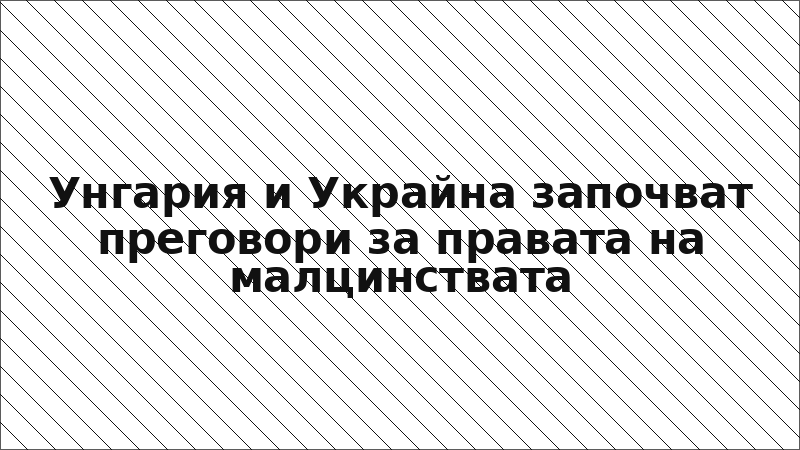Унгария и Украйна започват преговори за правата на малцинствата