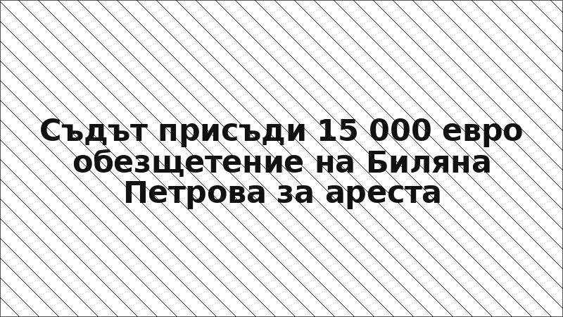 Съдът присъди 15 000 евро обезщетение на Биляна Петрова за ареста