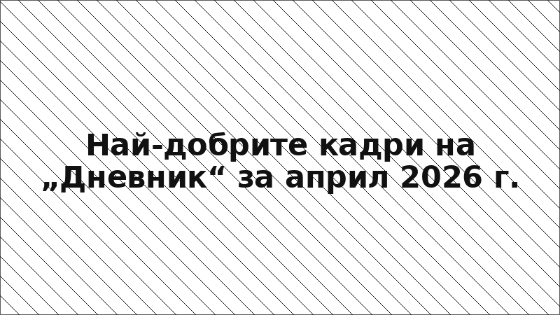 Най-добрите кадри на „Дневник“ за април 2026 г.