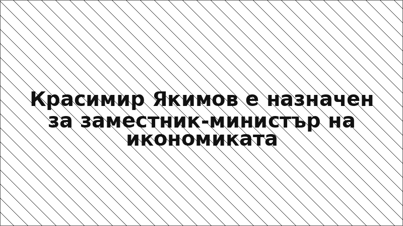 Красимир Якимов е назначен за заместник-министър на икономиката