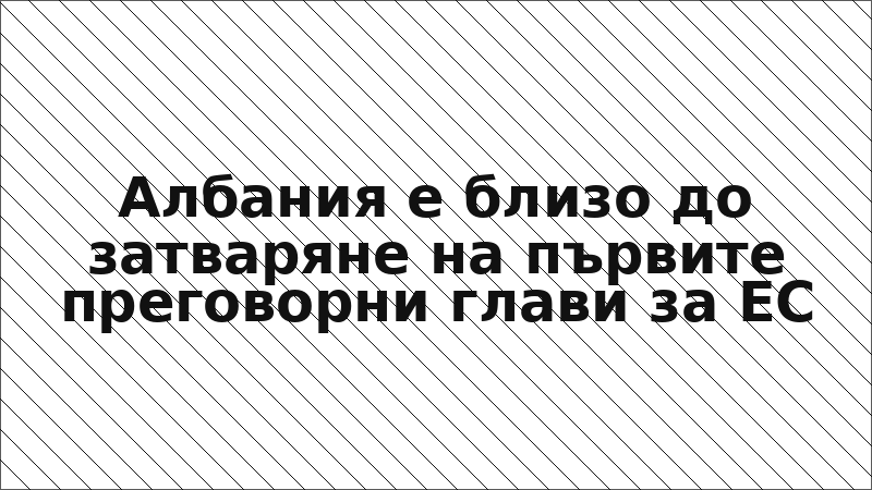 Албания е близо до затваряне на първите преговорни глави за ЕС
