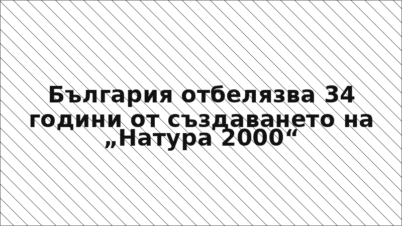 България отбелязва 34 години от създаването на „Натура 2000“