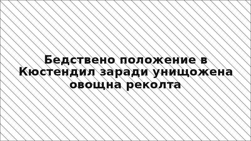 Бедствено положение в Кюстендил заради унищожена овощна реколта