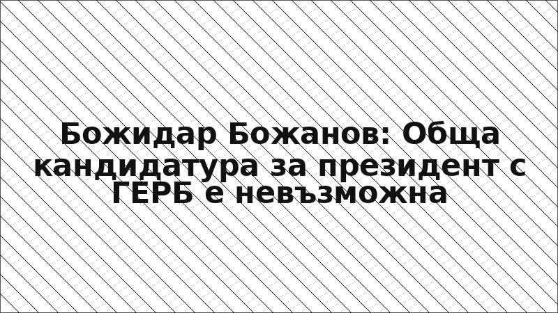 Божидар Божанов: Обща кандидатура за президент с ГЕРБ е невъзможна