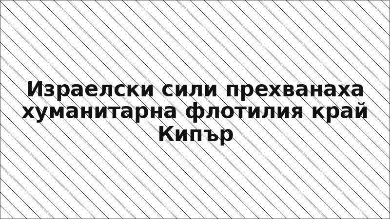 Израелски сили прехванаха хуманитарна флотилия край Кипър