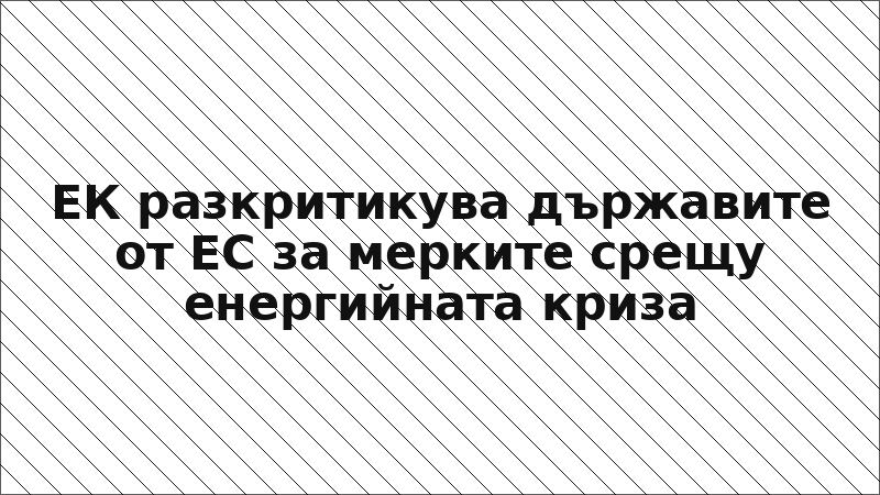 ЕК разкритикува държавите от ЕС за мерките срещу енергийната криза