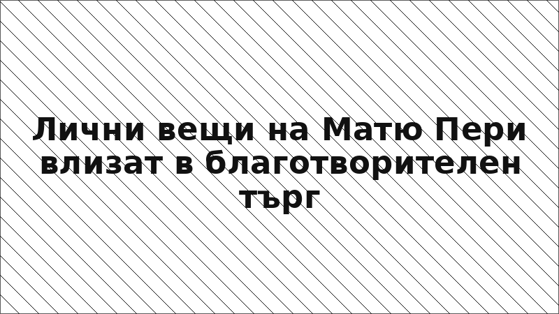 Лични вещи на Матю Пери влизат в благотворителен търг