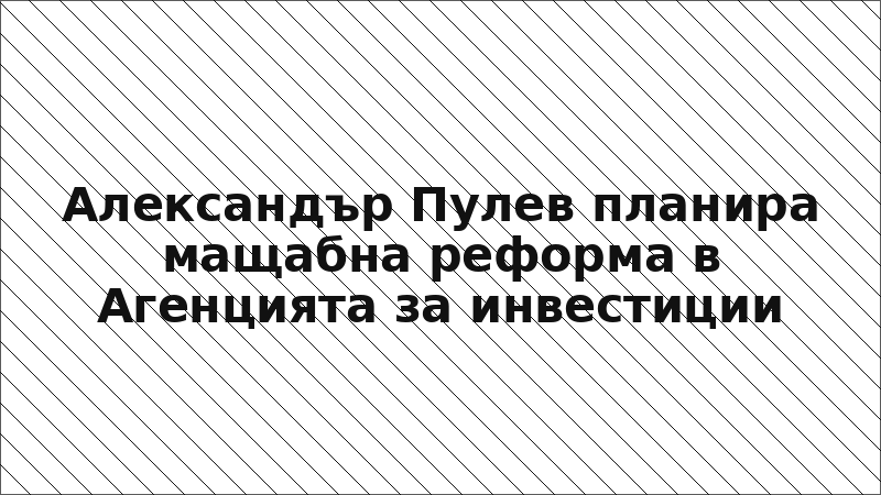 Александър Пулев планира мащабна реформа в Агенцията за инвестиции