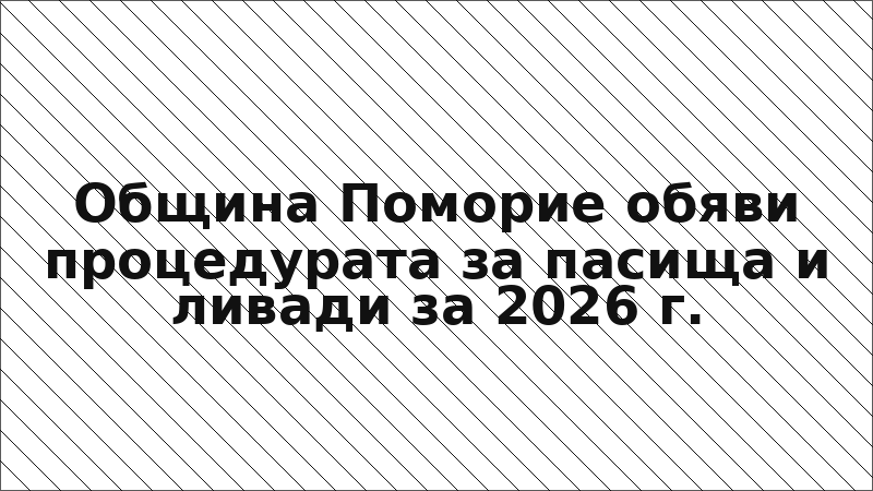 Община Поморие обяви процедурата за пасища и ливади за 2026 г.