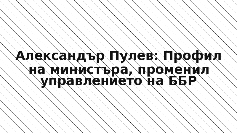 Александър Пулев: Профил на министъра, променил управлението на ББР