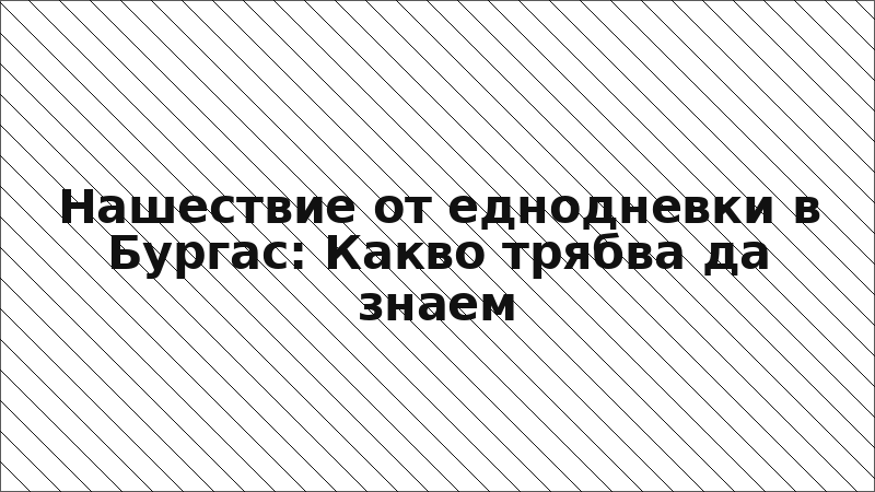 Нашествие от еднодневки в Бургас: Какво трябва да знаем