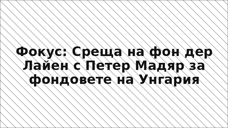 Фокус: Среща на фон дер Лайен с Петер Мадяр за фондовете на Унгария