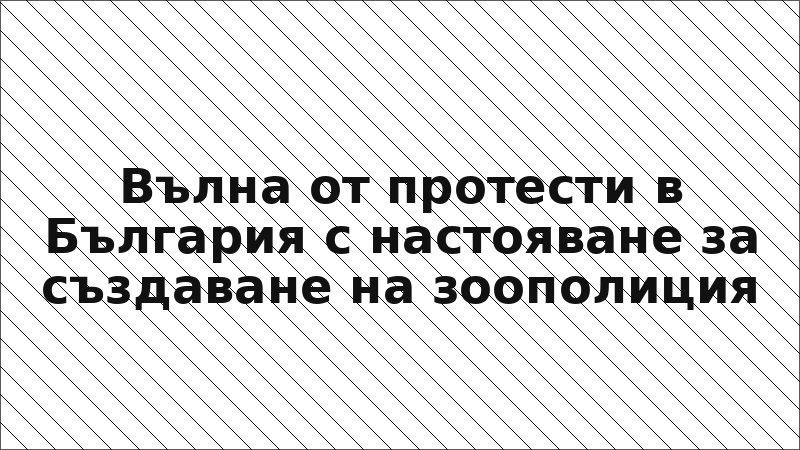 Вълна от протести в България с настояване за създаване на зоополиция