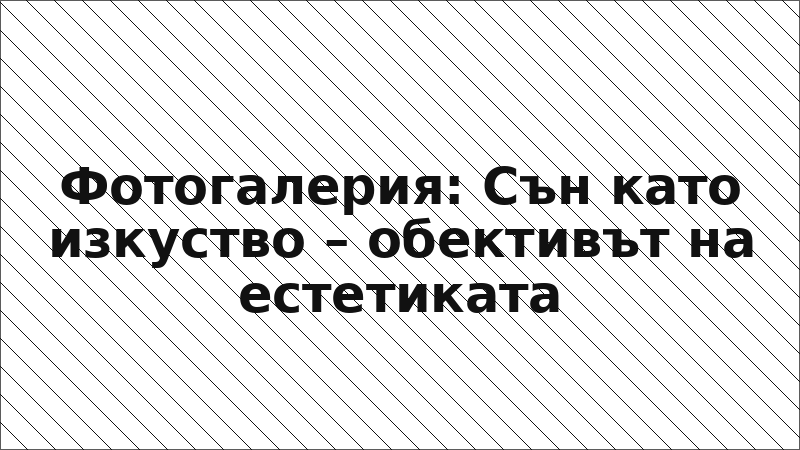 Фотогалерия: Сън като изкуство – обективът на естетиката