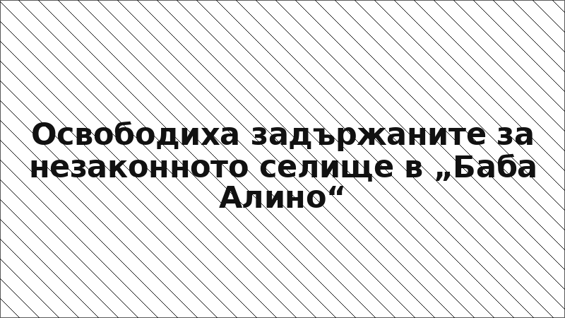 Освободиха задържаните за незаконното селище в „Баба Алино“