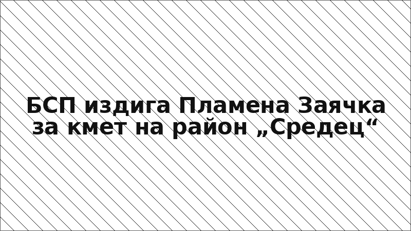 БСП издига Пламена Заячка за кмет на район „Средец“