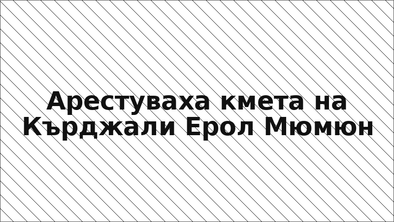 Арестуваха кмета на Кърджали Ерол Мюмюн