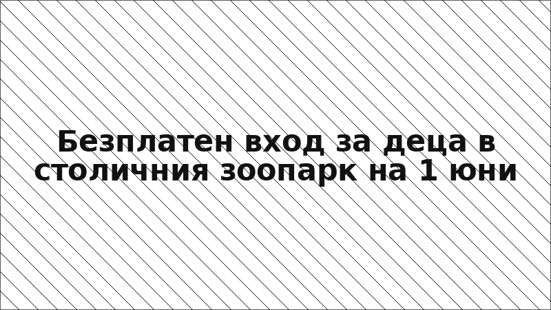 Безплатен вход за деца в столичния зоопарк на 1 юни