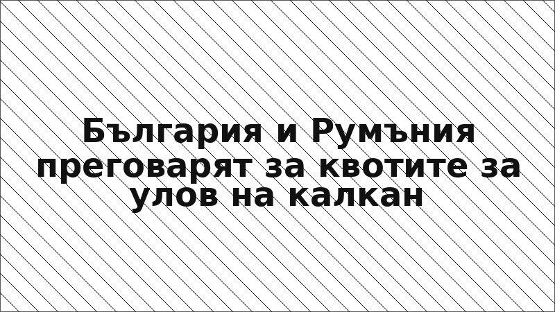 България и Румъния преговарят за квотите за улов на калкан
