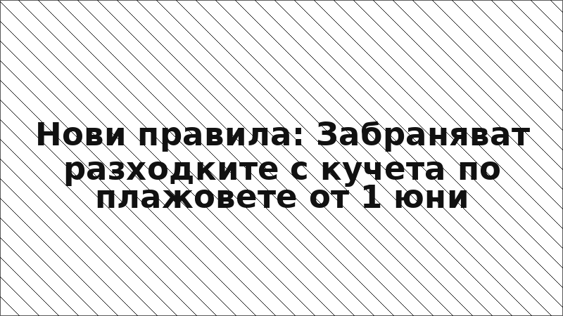 Нови правила: Забраняват разходките с кучета по плажовете от 1 юни