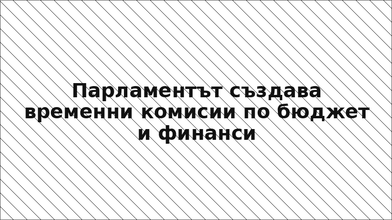 Парламентът създава временни комисии по бюджет и финанси
