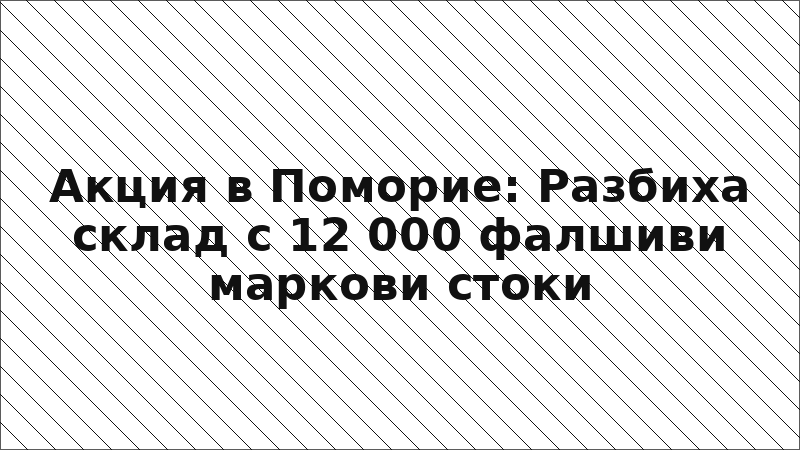 Акция в Поморие: Разбиха склад с 12 000 фалшиви маркови стоки