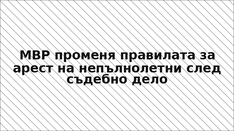 МВР променя правилата за арест на непълнолетни след съдебно дело