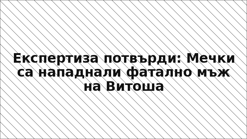 Експертиза потвърди: Мечки са нападнали фатално мъж на Витоша