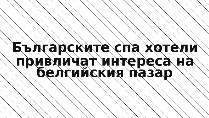 Българските спа хотели привличат интереса на белгийския пазар