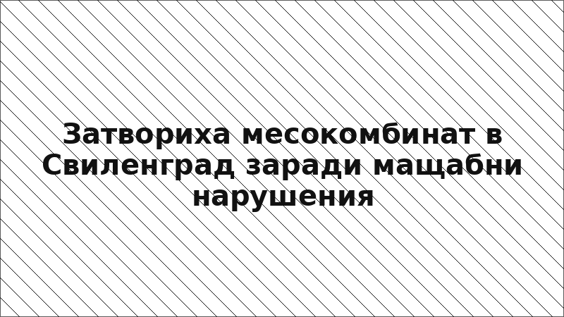 Затвориха месокомбинат в Свиленград заради мащабни нарушения