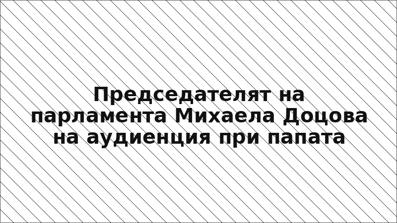 Председателят на парламента Михаела Доцова на аудиенция при папата