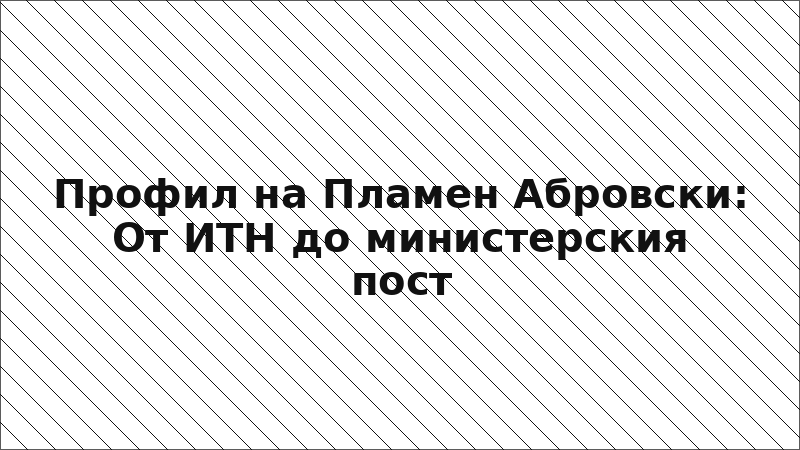 Профил на Пламен Абровски: От ИТН до министерския пост