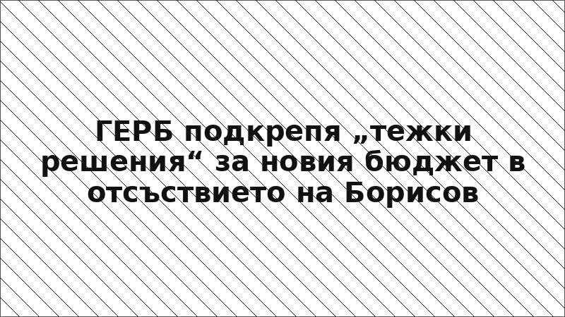 ГЕРБ подкрепя „тежки решения“ за новия бюджет в отсъствието на Борисов