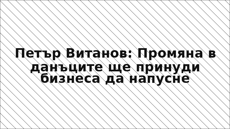 Петър Витанов: Промяна в данъците ще принуди бизнеса да напусне