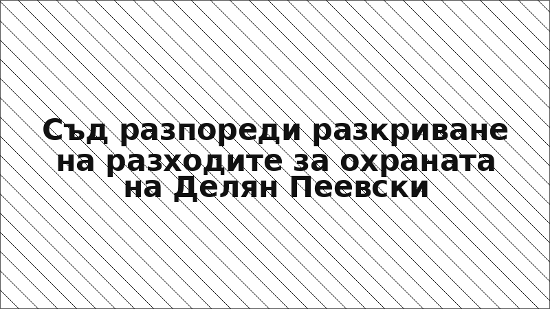 Съд разпореди разкриване на разходите за охраната на Делян Пеевски