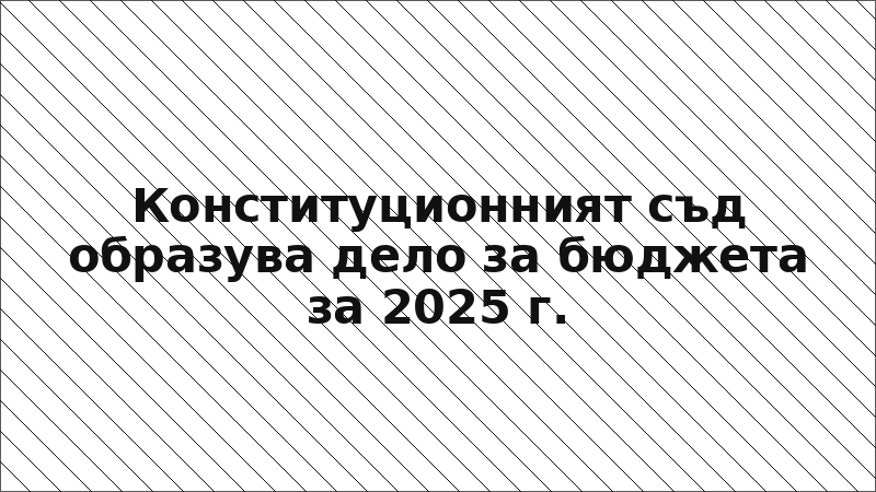 Конституционният съд образува дело за бюджета за 2025 г.