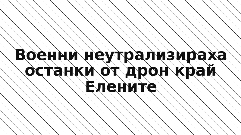 Военни неутрализираха останки от дрон край Елените