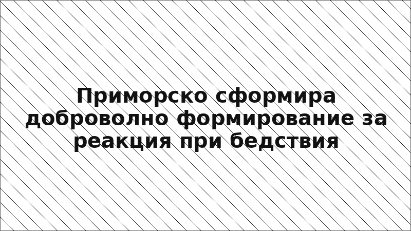Приморско сформира доброволно формирование за реакция при бедствия