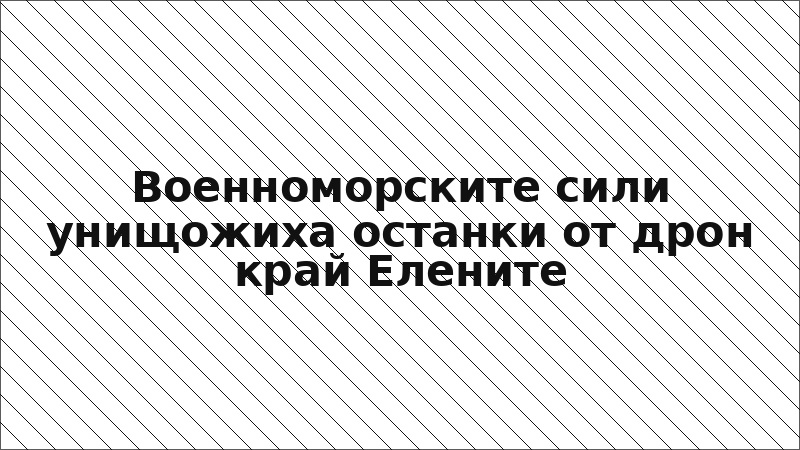 Военноморските сили унищожиха останки от дрон край Елените