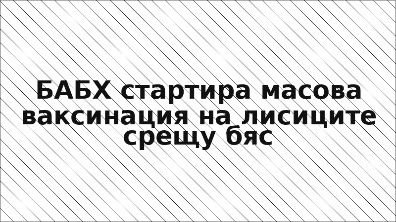 БАБХ стартира масова ваксинация на лисиците срещу бяс