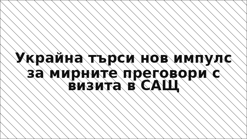 Украйна търси нов импулс за мирните преговори с визита в САЩ