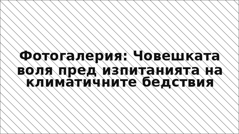 Фотогалерия: Човешката воля пред изпитанията на климатичните бедствия