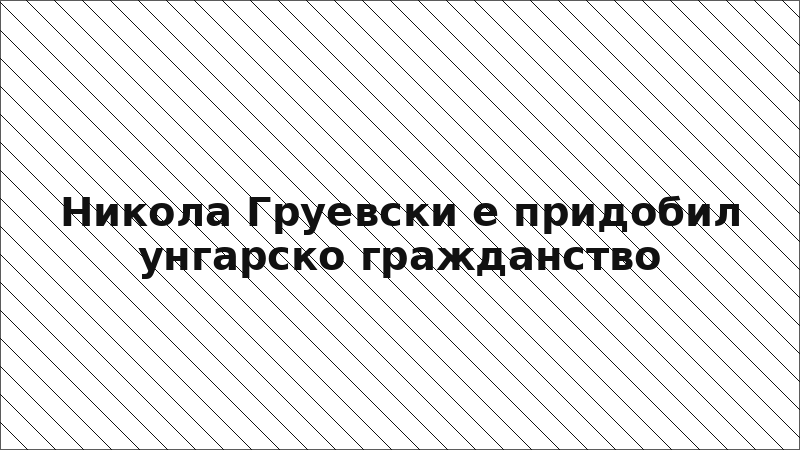 Никола Груевски е придобил унгарско гражданство