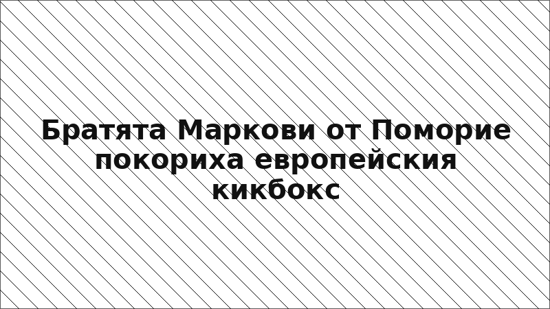 Братята Маркови от Поморие покориха европейския кикбокс