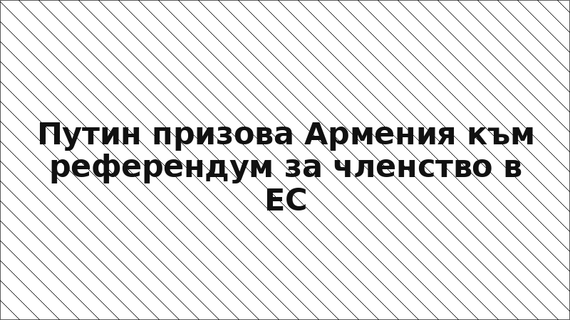 Путин призова Армения към референдум за членство в ЕС