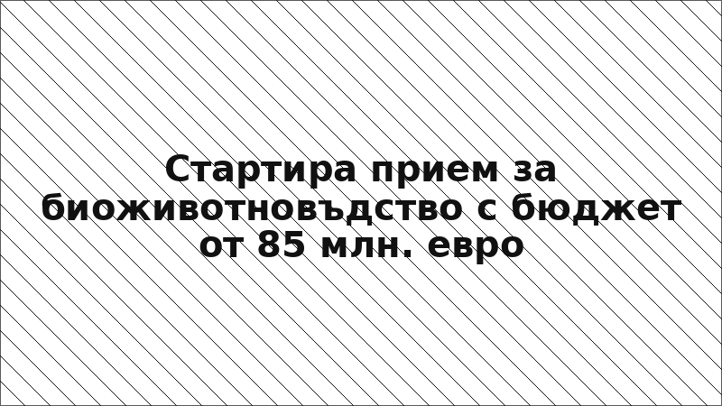 Стартира прием за биоживотновъдство с бюджет от 85 млн. евро