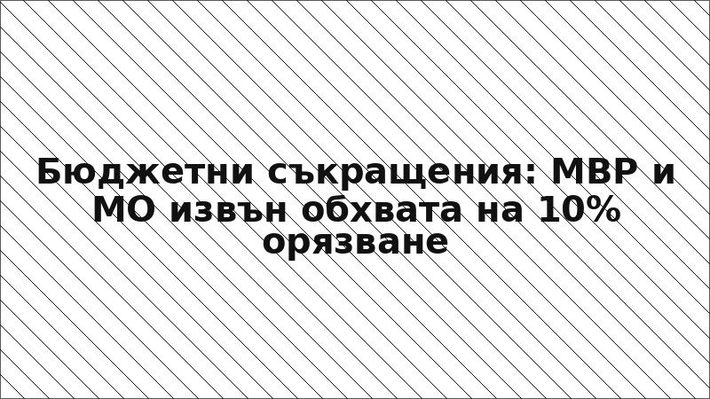 Бюджетни съкращения: МВР и МО извън обхвата на 10% орязване